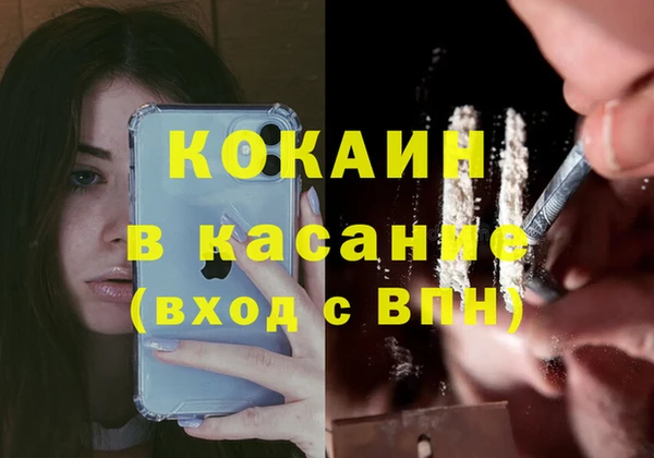 гидра Верея