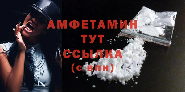 гидра Верея