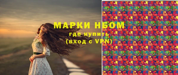 гидра Верея
